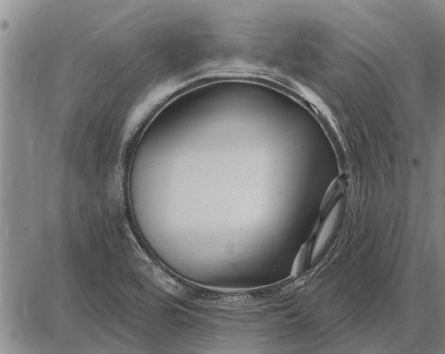 X0000087681464200705181717