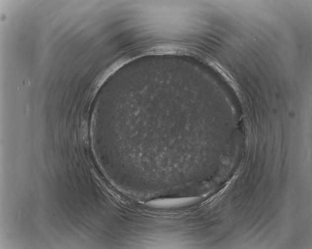 X0000087681465200705181717