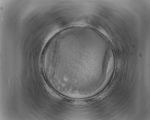 X0000087681466200705181717