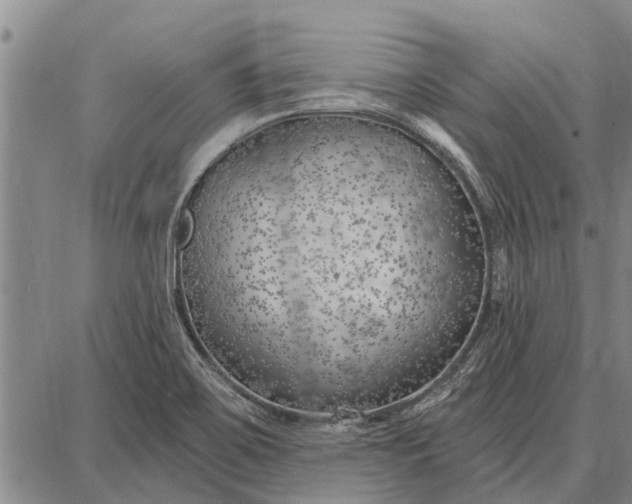 X0000087681467200705181717