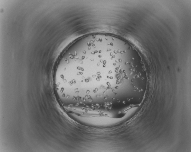 X0000087681468200705181717