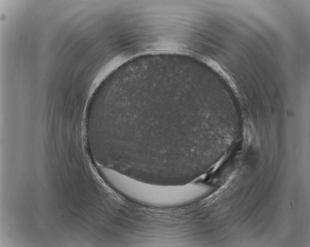 X0000087681469200705181717