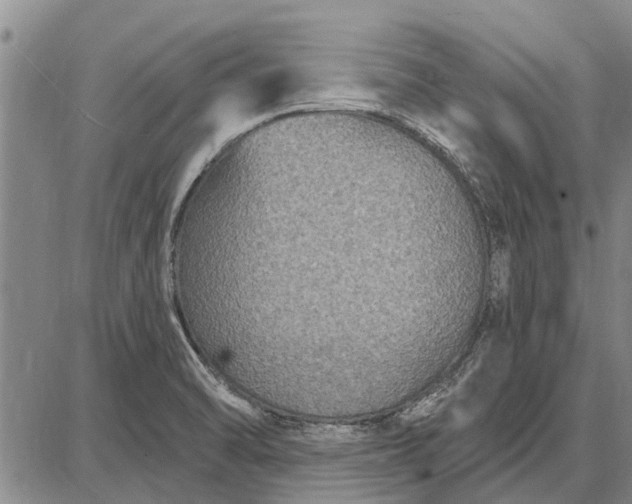 X0000087681470200705181717