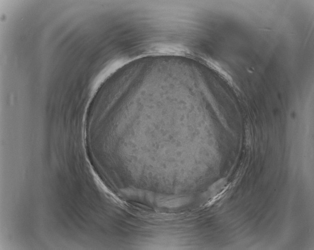 X0000087681471200705181717