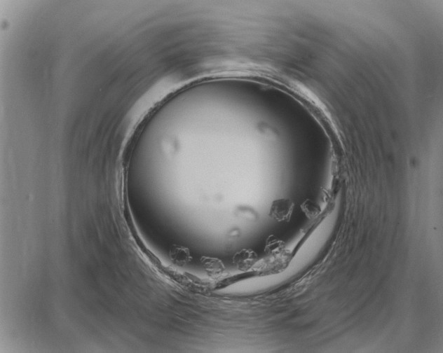 X0000087681472200705181717