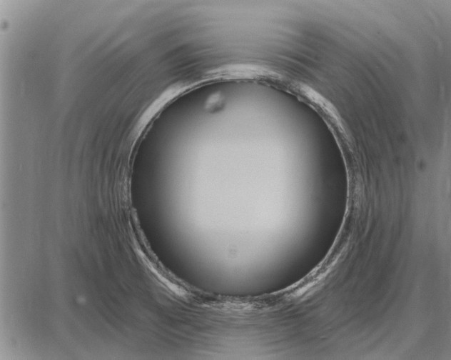 X0000087681473200705181717