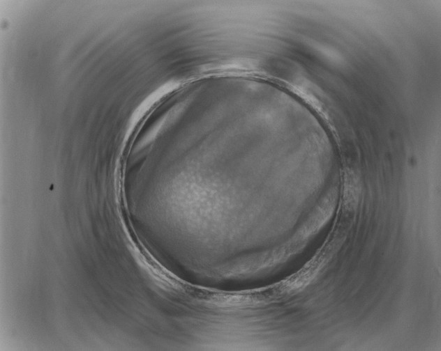 X0000087681474200705181717