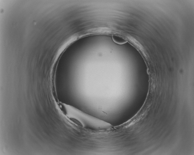 X0000087681475200705181717