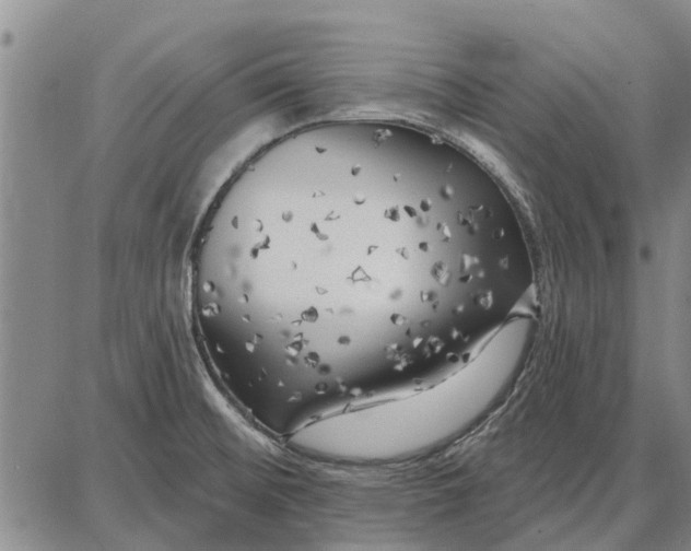 X0000087681476200705181717