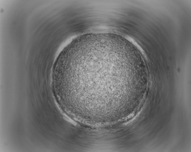 X0000087681477200705181717