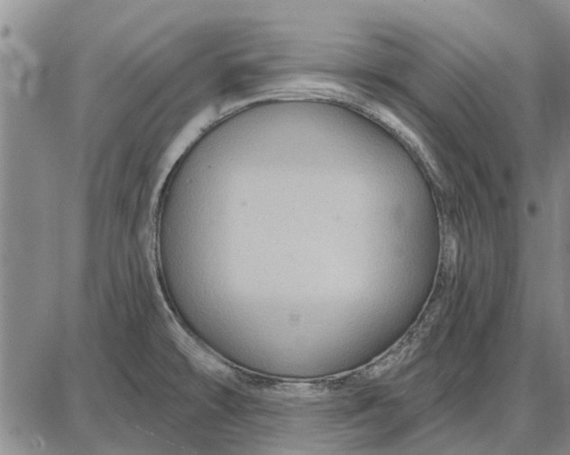 X0000087681478200705181717