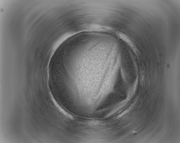 X0000087681479200705181717