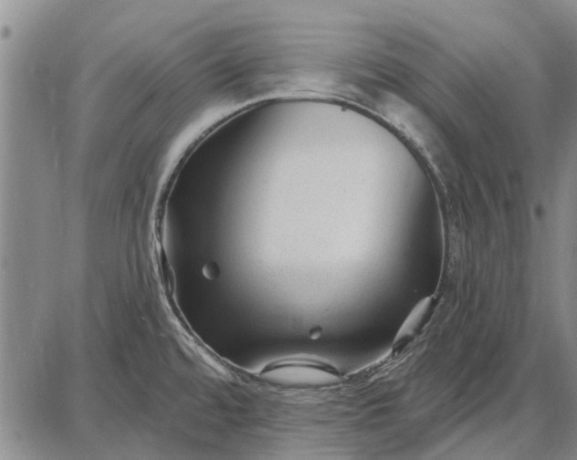 X0000087681480200705181717