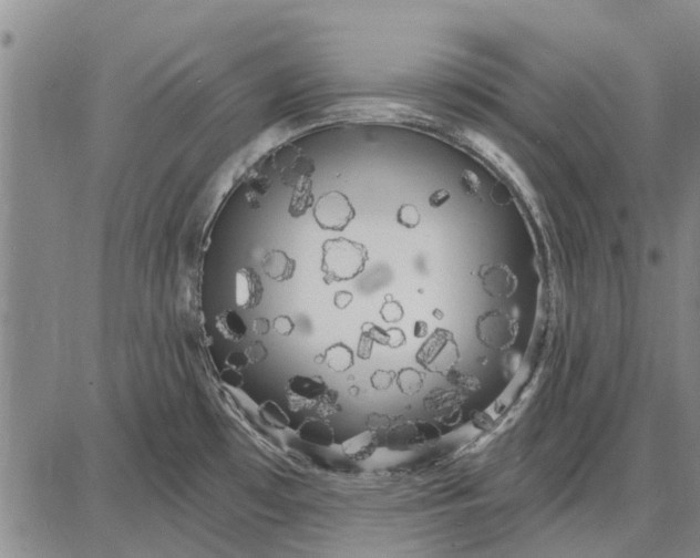 X0000087681481200705181717