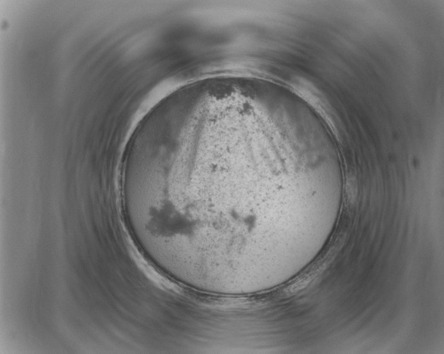 X0000087681482200705181717