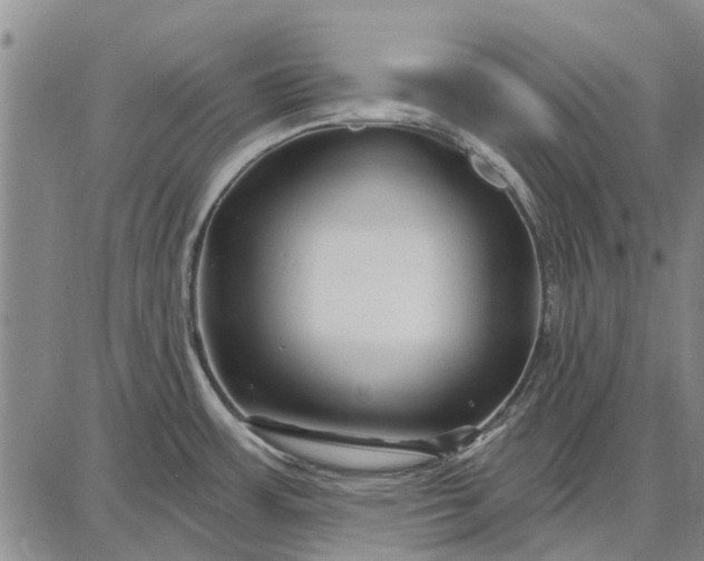 X0000087681483200705181717