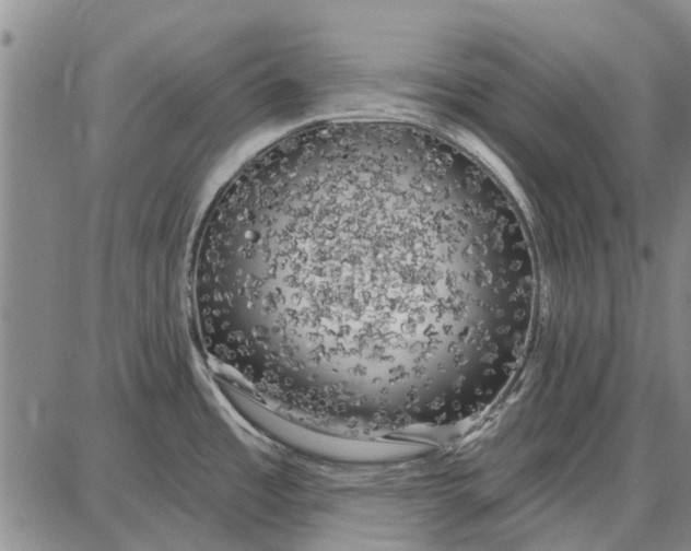 X0000087681485200705181717