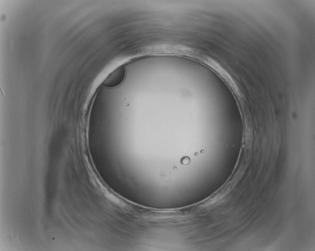 X0000087681486200705181717