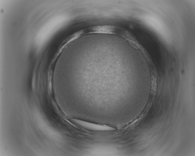 X0000087681487200705181717