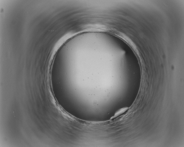 X0000087681488200705181717