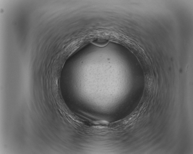 X0000087681489200705181716