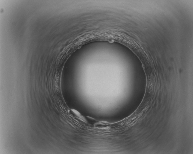 X0000087681490200705181716