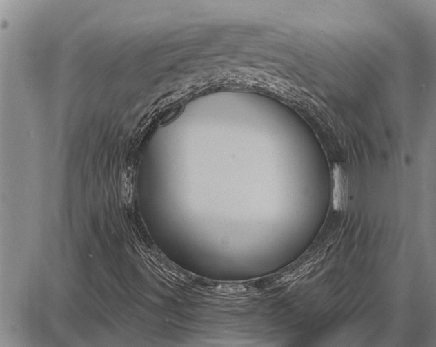 X0000087681491200705181716