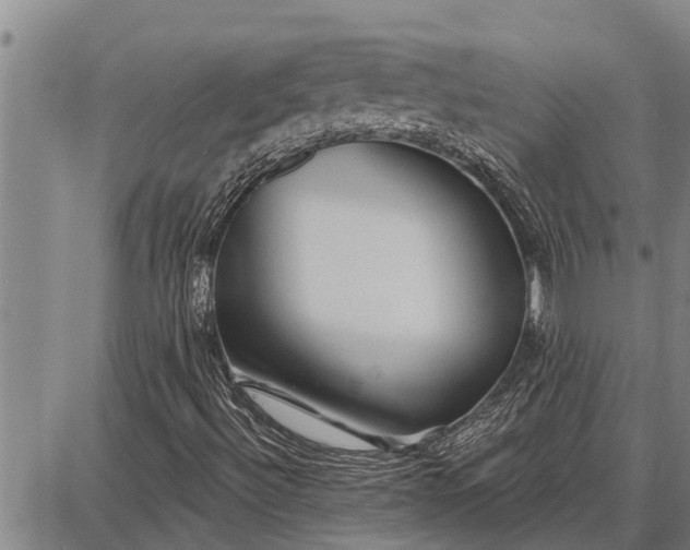 X0000087681492200705181716