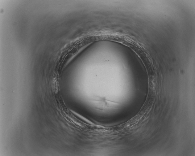 X0000087681493200705181716