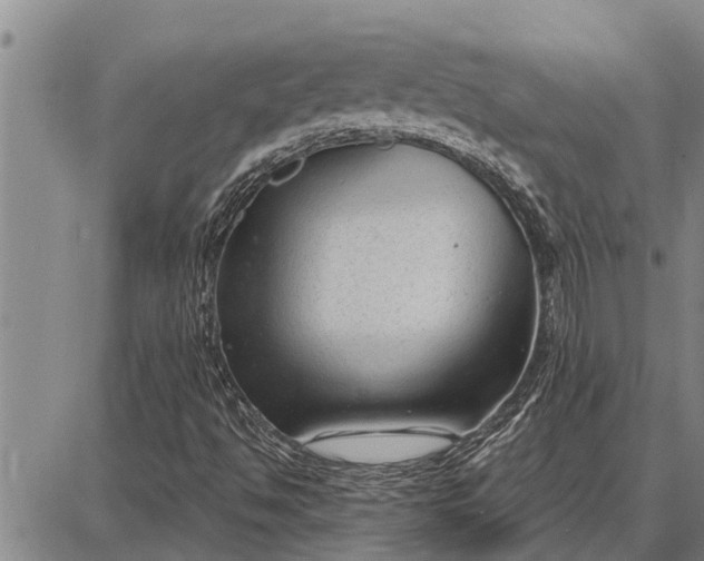 X0000087681494200705181716