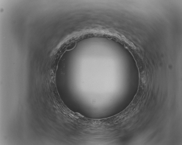 X0000087681495200705181716