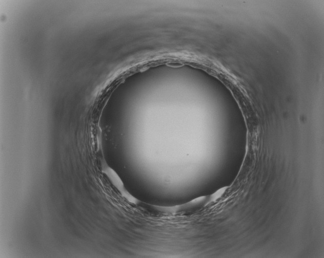 X0000087681496200705181716