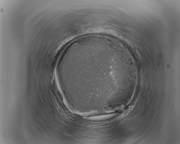 X0000087681497200705181716