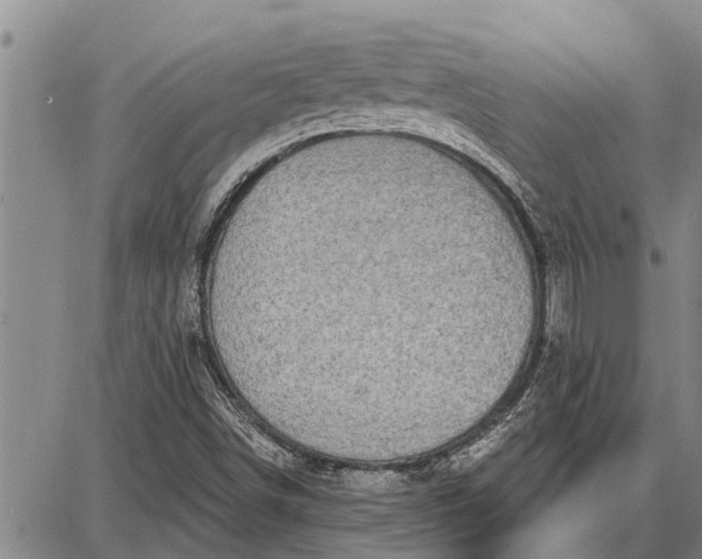 X0000087681498200705181716