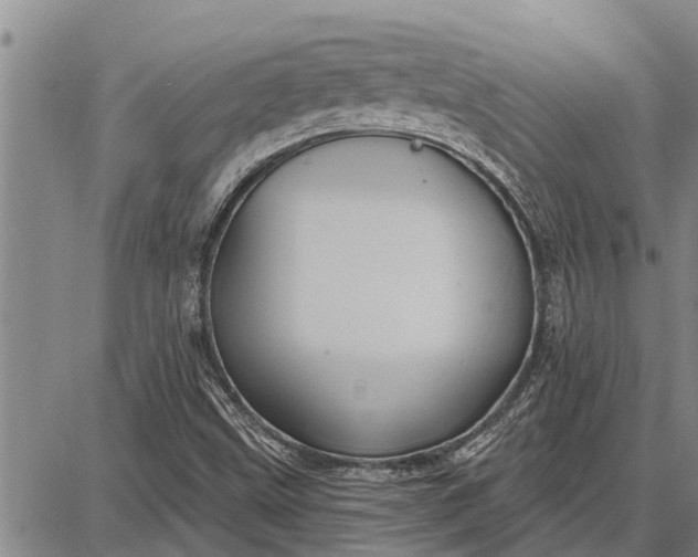 X0000087681499200705181716