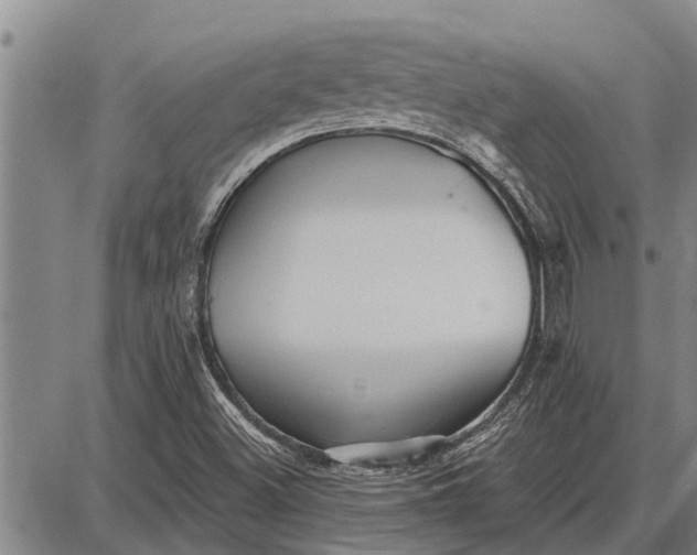 X0000087681500200705181716