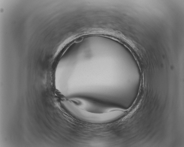 X0000087681501200705181716