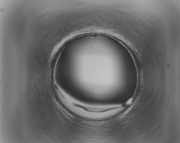 X0000087681502200705181716