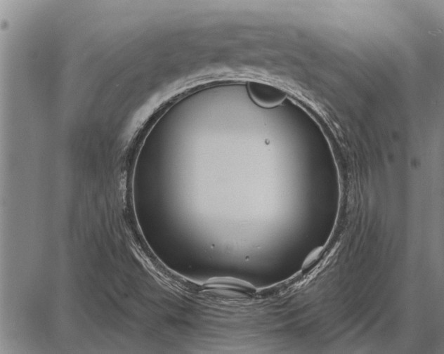 X0000087681503200705181716