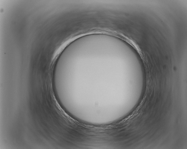 X0000087681504200705181716