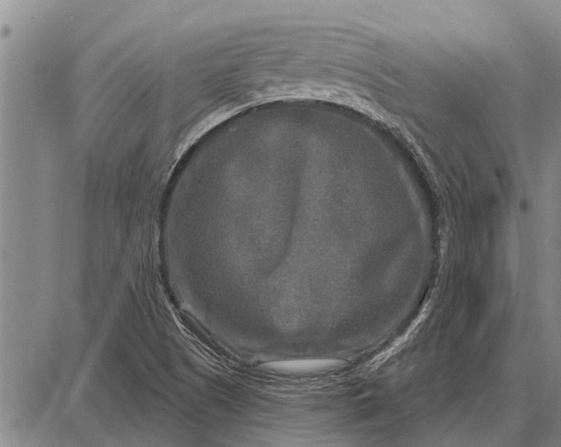 X0000087681505200705181716