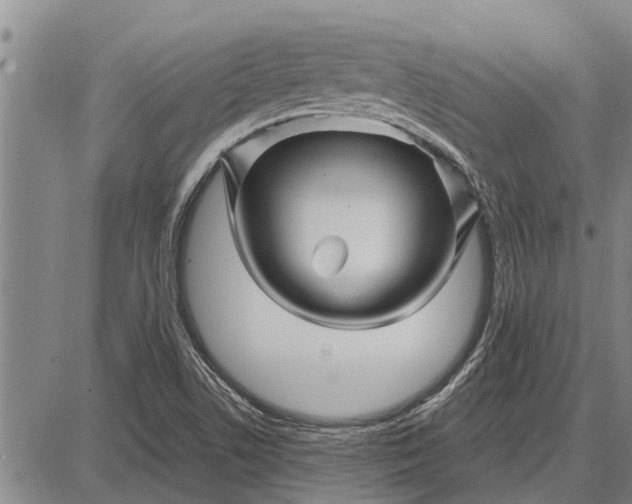 X0000087681506200705181716