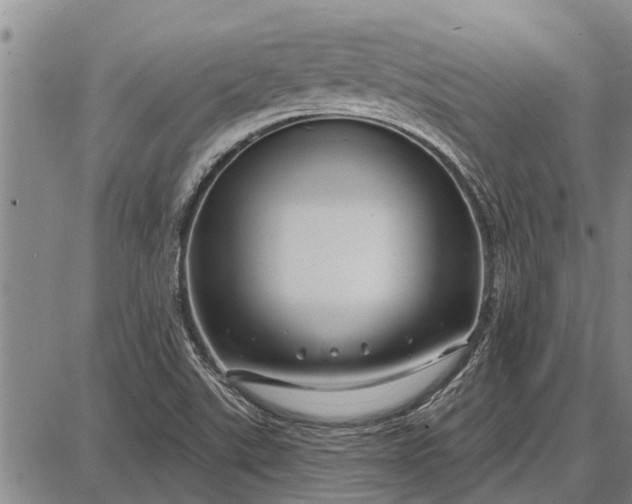 X0000087681507200705181716