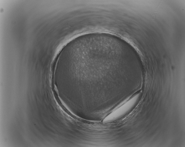 X0000087681508200705181716