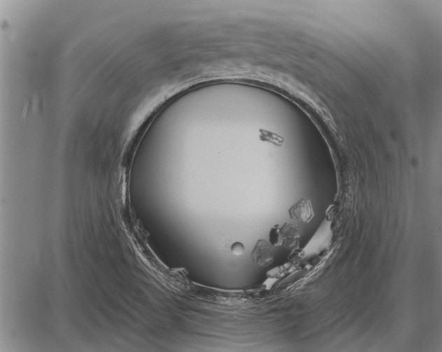 X0000087681509200705181716