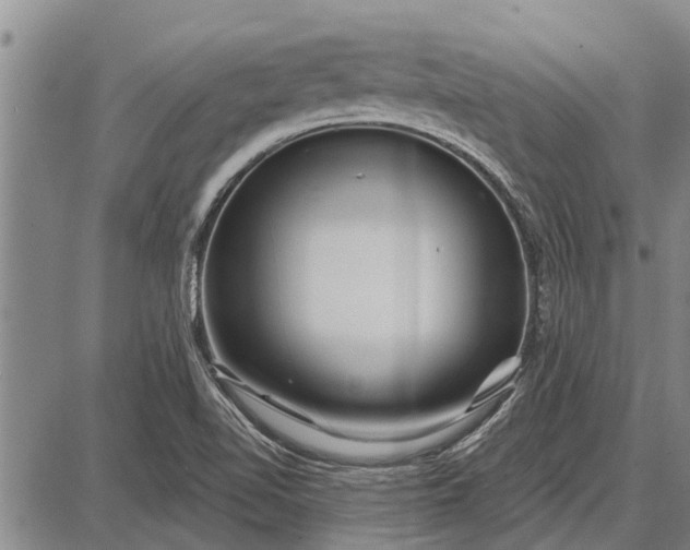 X0000087681510200705181717