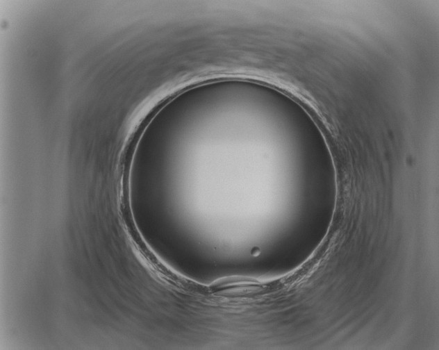 X0000087681511200705181717