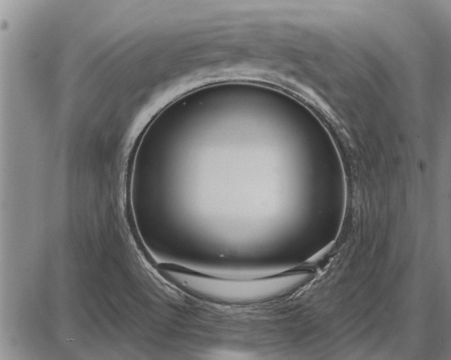 X0000087681512200705181717