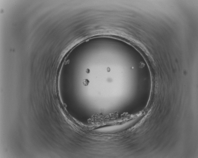 X0000087681513200705181717