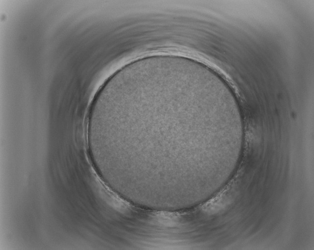 X0000087681514200705181717